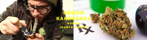 трава Надым