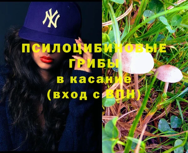 трава Надым